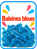 Baleines Bleues