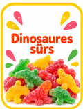 Dinosaures Surettes